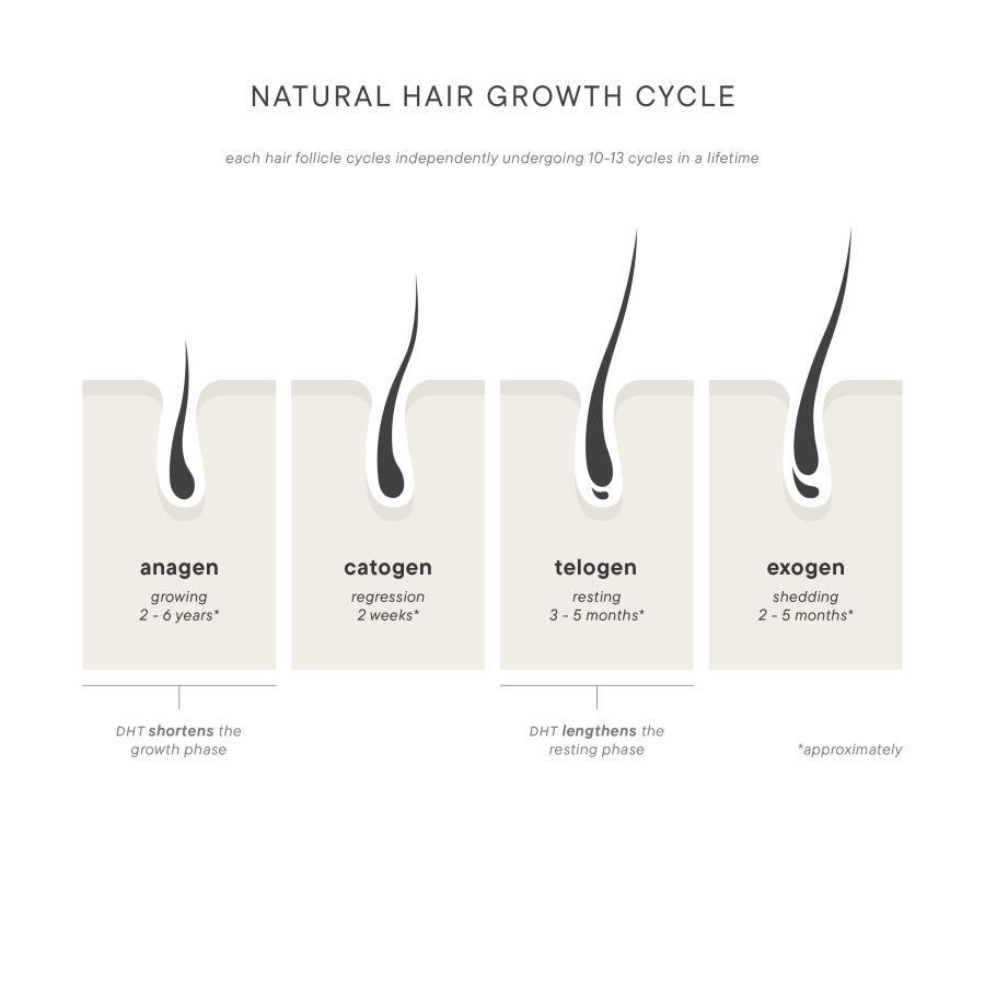 Hair%20Growth%20Cycle%20Infographic%20ScalpTherapy%20%20For%20Him-27316e4d Folix Hair Restoration - J.Bentley Hair Studio Day Spa | Powell, OH